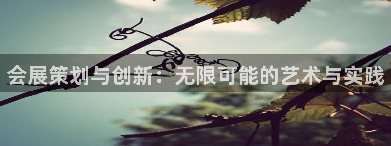 果博东手机版下载开户：会展策划与创新：无