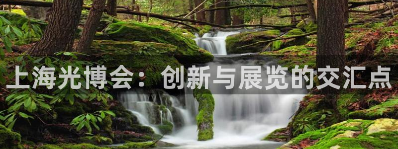果博平台真实吗知乎怎么样：上海光博会：创新与展览的