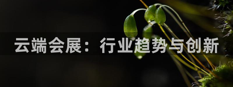 果博平台真实吗安全吗可信吗安全吗：云端会