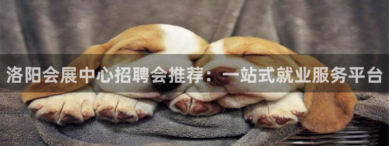 果博公司怎么开户：洛阳会展中心招聘会推荐