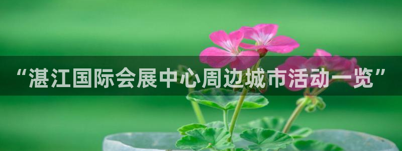 果博平台真实吗安全吗可信吗：“湛江国际会