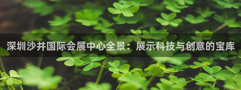 果博公司会员账号开户：深圳沙井国际会展中心全景：展示科技与创意的宝库