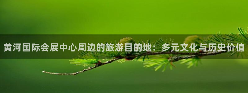 果博平台赖不赖：黄河国际会展中心周边的旅